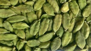 Green Cardamom