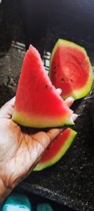 Watermelon