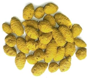 Dry Turmeric Bulb