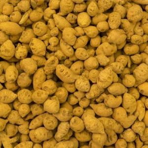 Natural Turmeric Bulb, Color : Yellow, Form : Whole for Spices