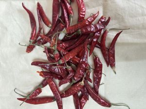 Dry Red Chili