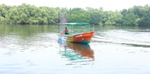 Fishing Harbour Service