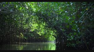 Ocean Mouth Boating Service