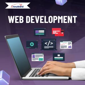 Web Development