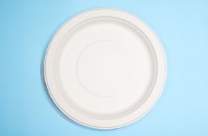 10 Inch  Round Plate No Compartments