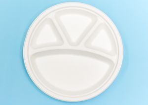 11 Inch  Round Plate  4 Compartments