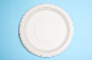 6'' Round Plate  |No Compartments