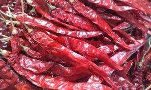 red chilli