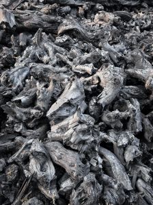 Wood Root Charcoal