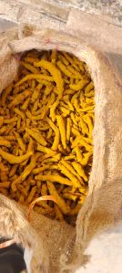 Natural Finger Turmeric, Color : Yellow, Grade Standard : Food Grade