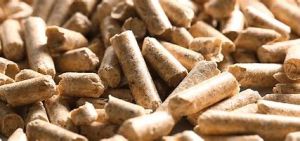 Biomass Wood Pellet