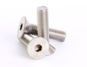 Stainless Steel Self Tapping Screw