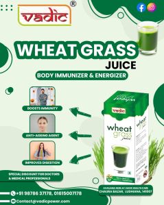 Wheatgrass Juice, Packaging Type : Plastic Bottle, Form : Liquid