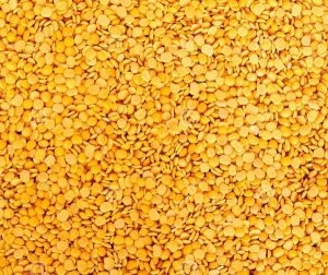 Hard Natural Arhar Dal, Color : Yellow for Cooking, Human Consumption