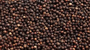 Natural Black Pepper, Form : Whole for Spices