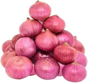 Fresh Onion