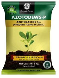 OrganicDews Azotobacter Bio Fertilizer  Nitrogen Fixing Bacteria  for Plants - 1 kg