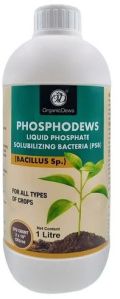 OrganicDews Phosphodews Bio Fertilizer, Purity : 100% for Agriculture