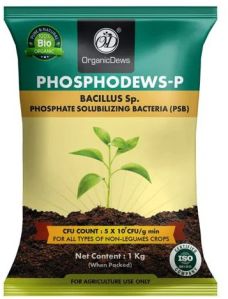 OrganicDews Phosphate Solubilizing  Bacteria (PSB)  Bio Inoculum Fertilizer - 1 Kg