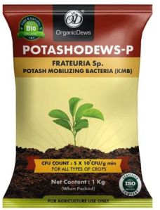 OrganicDews Potashodews-P Bio Fertilizer