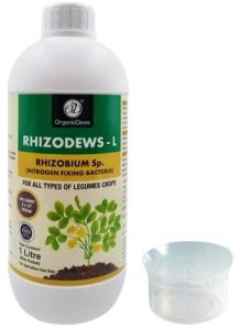 OrganicDews Rhizobium leguminosarum - Nitrogen Fixing Bacteria  Bio Inoculum - 1 Litre