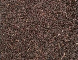 Brown Sesame Seeds