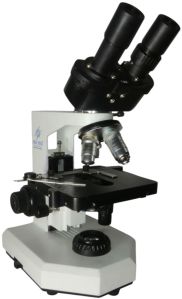 Pathological Microscope