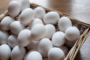 Hen White Eggs, Packaging Type : Tray For Human Consumption