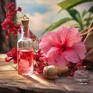 Hibiscus Oil