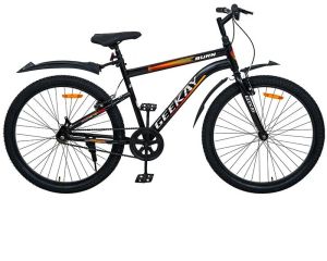 BURN - RIGID FORK Mens Bicycles 24T