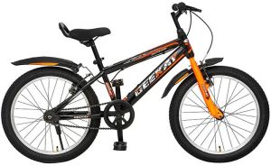 ZIPRIDE Boy Bicycle 20T