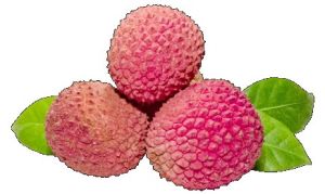 Litchi Pulp