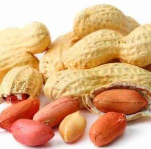 Ground Nuts, Color : Brown