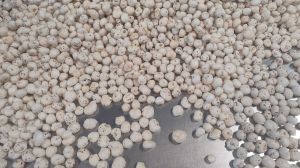 Makhana (Foxnut)