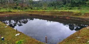 Fish Pond Cover Net