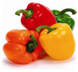 Fresh Capsicum