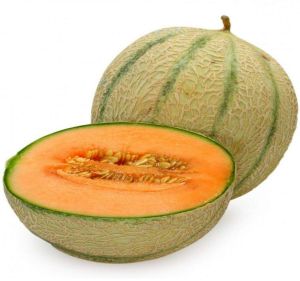 Fresh Muskmelon