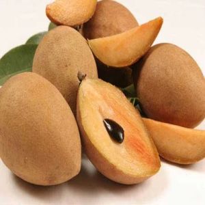 Fresh Sapodilla