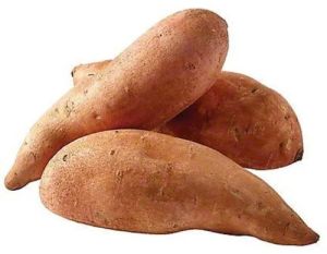 Fresh Sweet Potato