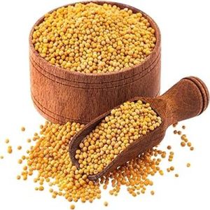 Yellow Mustard Seeds