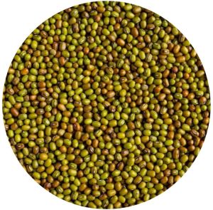 Moong Split Beans (Vigna Radiata L.)