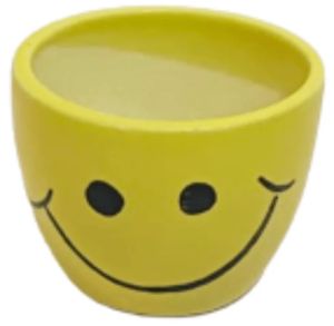 Smile Ceramic Plant Pot