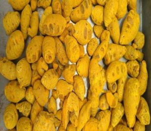 Dried Turmeric Bulb, Color : Yellow, Packaging Type : Gunny Bags