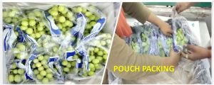 Fresh Grapes, Packaging Type : Bunches Or Containers