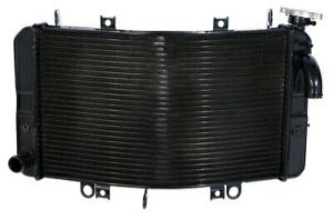 Suzuki Hayabusa Radiator Water Tank