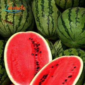 Organic Watermelon, Color : Green