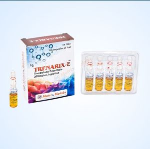 Testorix E 250 mg Injection