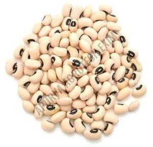 Organic Black Eyed Beans, Packaging Type : PP Bag for Cooking