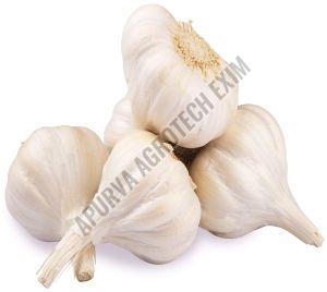 Organic Fresh Garlic, Color : White for Cooking