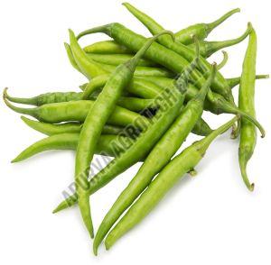 Organic Fresh Green Chilli, Storage Tips : Cool Place